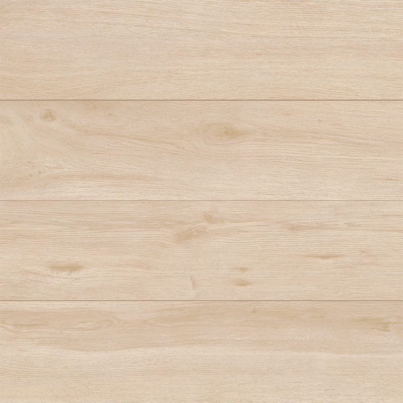 Belfast Maple